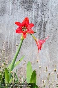 冬天