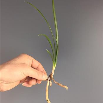 打锣；打腰鼓；打边鼓打一成语