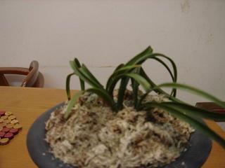 无花无酒过清明打一成语