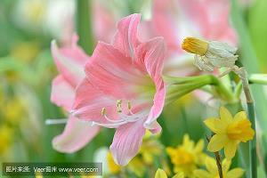 死前验证瞳孔打一成语