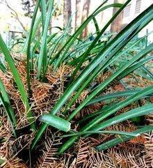 同舟敌国成语接龙游戏