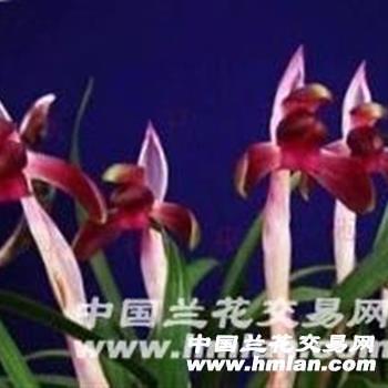 妻子担心皮肤病打一成语