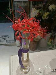 剪纸_小学生作文,四年级作文_路琳娜完美作文