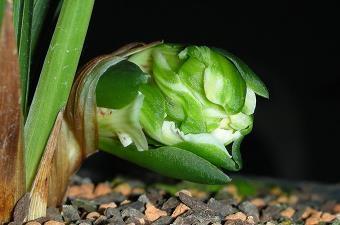 重罪打一成语