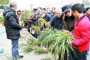 报喜也报忧打一成语