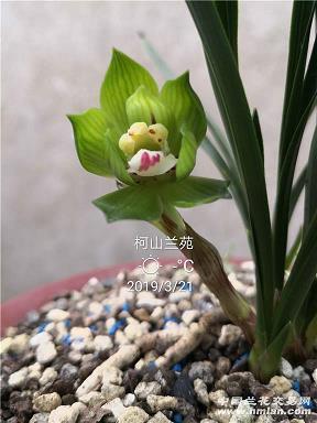 跑道；飞毛腿抢道；疾者言疾打一成语