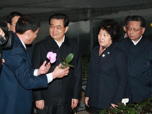 安禄山父子打一成语