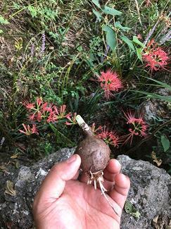 十年后的重庆