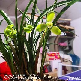 听诊打一成语