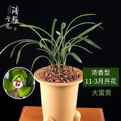 藏书楼打一成语