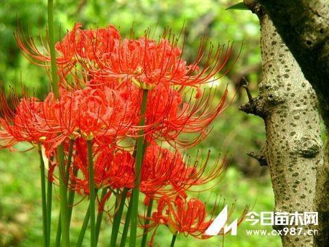 幸福，就在每一个角落