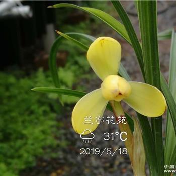 激战之后打一成语
