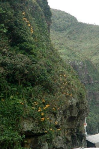 寿山福海成语接龙游戏