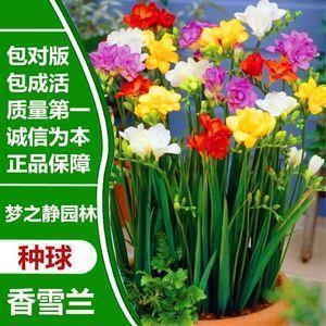象形文字打一成语