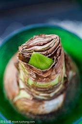 见豺而战，忘其皮之虎矣打一成语