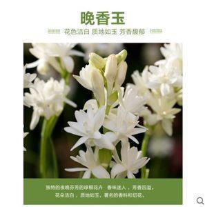 胜境打一成语
