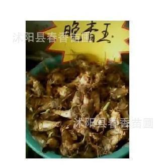 皇宫打一成语