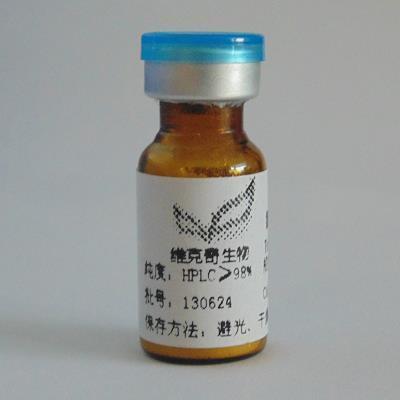 赤道打一成语