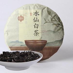 象箸玉杯打一成语