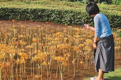 快乐的一天