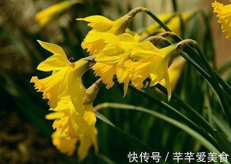 夏天的云
