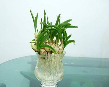 花飞花落满乾坤打一成语