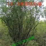 刚柔相济造句-用刚柔相济怎么造句