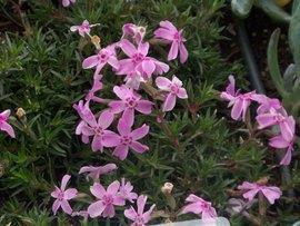 中秋节记事