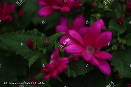 省吃节用成语接龙游戏