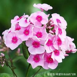 抱薪救火造句-用抱薪救火怎么造句