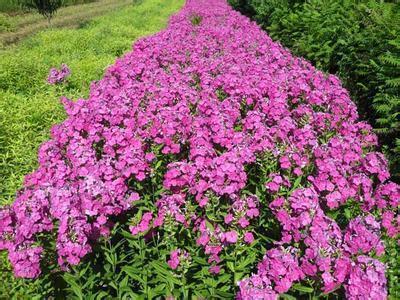 一节难忘地数学课
