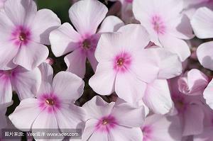 忘生舍死成语接龙游戏