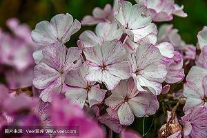 向懵懂的昨天说再见