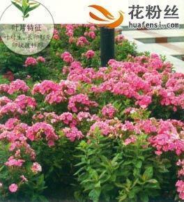 谏争如流成语接龙游戏