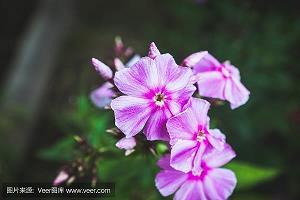 一马当先造句-用一马当先怎么造句