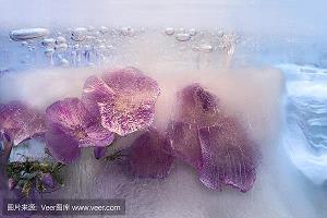 阿权膴仕成语接龙游戏