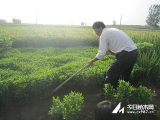 一个人静静的思念