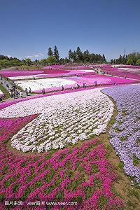 写生打一成语