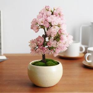 架肩击毂成语接龙游戏