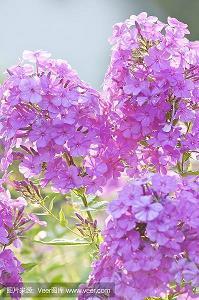 没世无闻成语接龙游戏