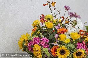 衣绣昼行成语接龙游戏