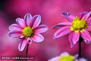 光芒万丈造句-用光芒万丈怎么造句