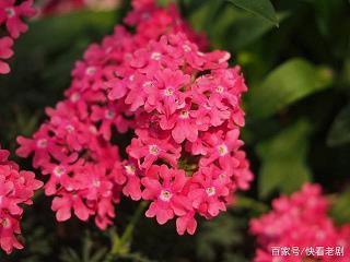饭牛屠狗成语接龙游戏