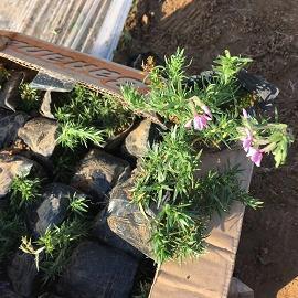 重规叠矩成语接龙游戏