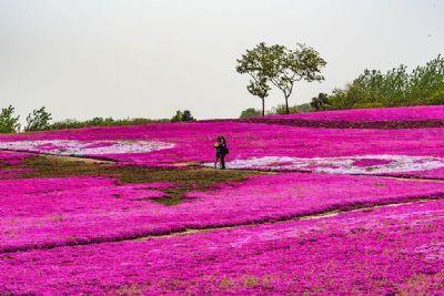 夏天旅游