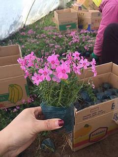 失足落水成语接龙游戏