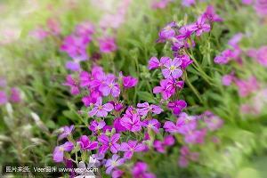 阎王殿；潜水艇打一成语