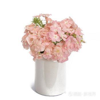 望风希指成语接龙游戏