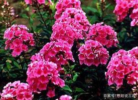 夏天