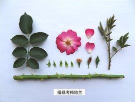 同一个故乡不同的景象